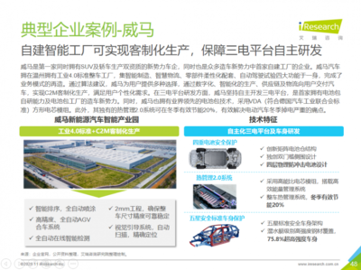 2025年新能源市場(chǎng)展望 威馬等企業(yè)潛力無限，技術(shù)咨詢服務(wù)助力行業(yè)騰飛